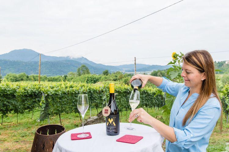 Wein Kärnten
